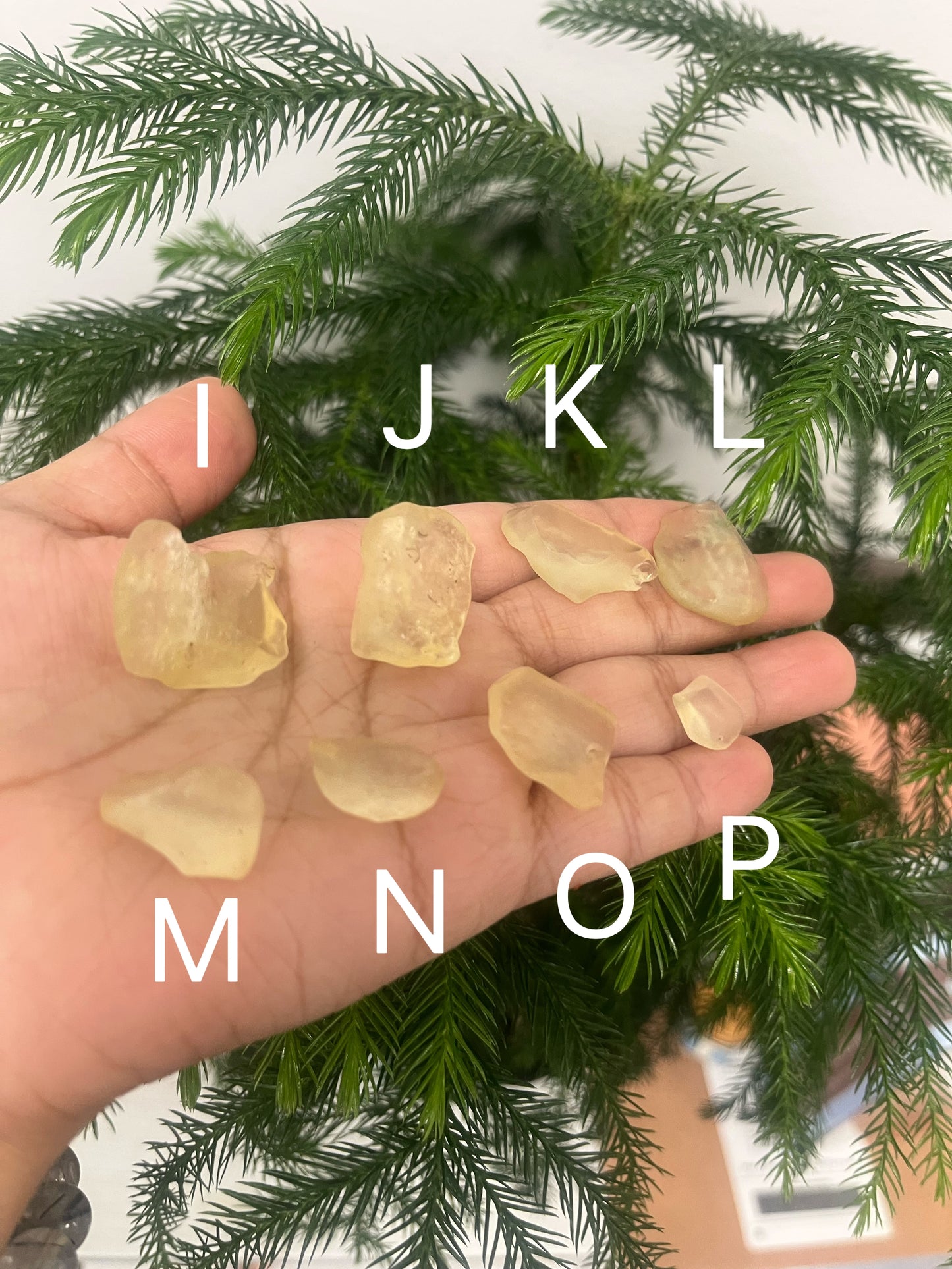 Libyan Desert Glass