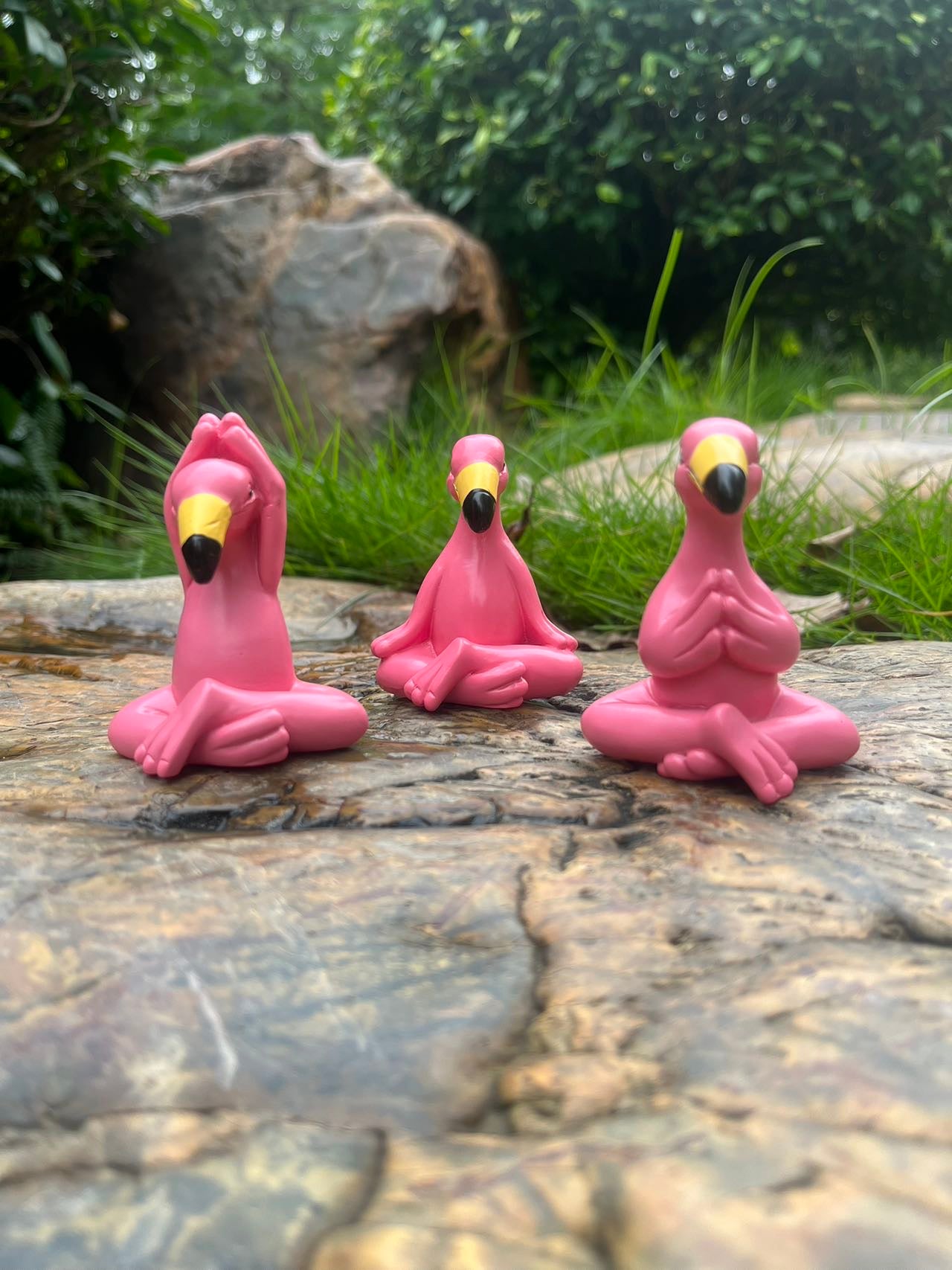 Meditation Flamingos