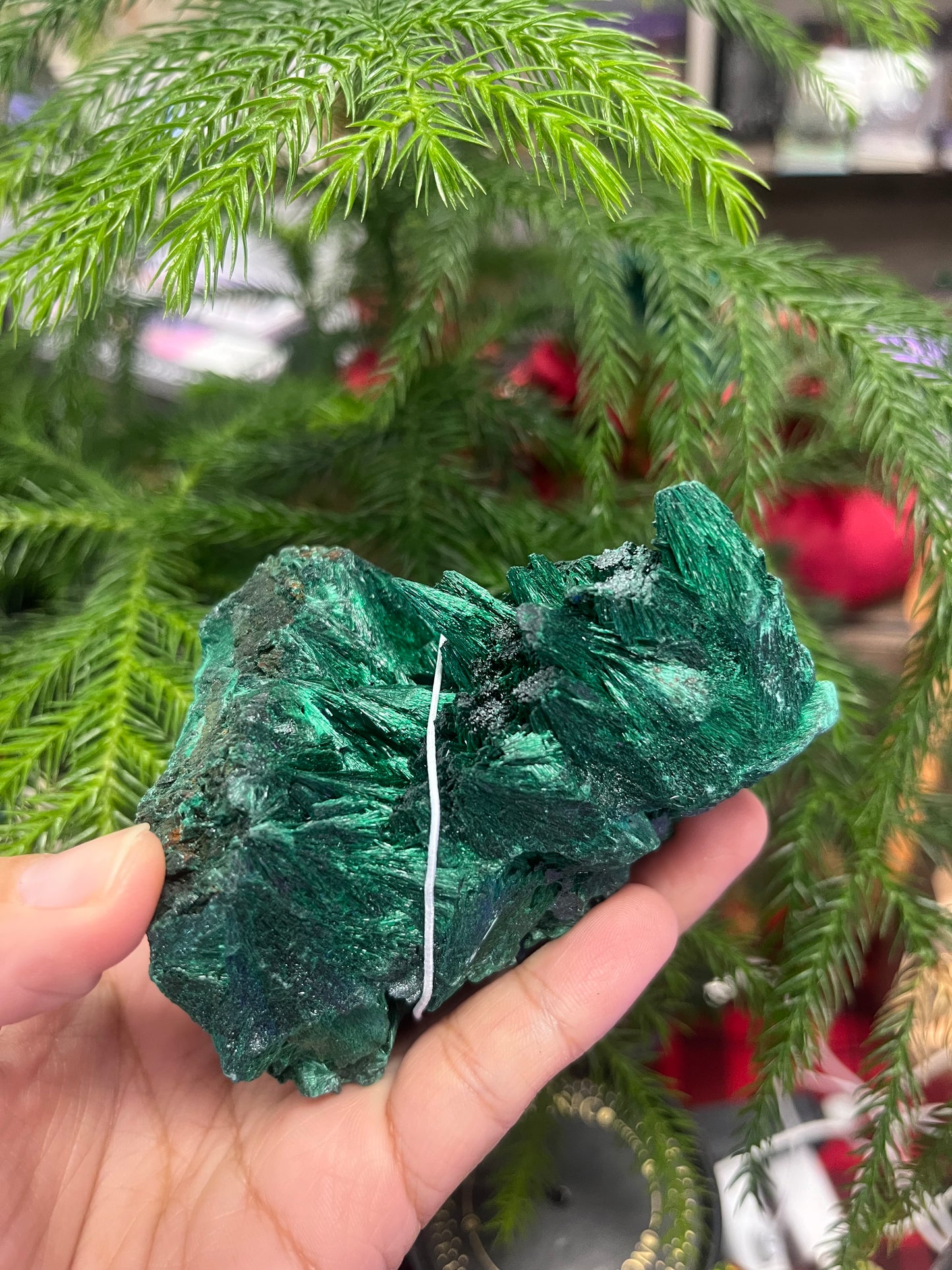 Nambia Fibrous Malachite Cluster
