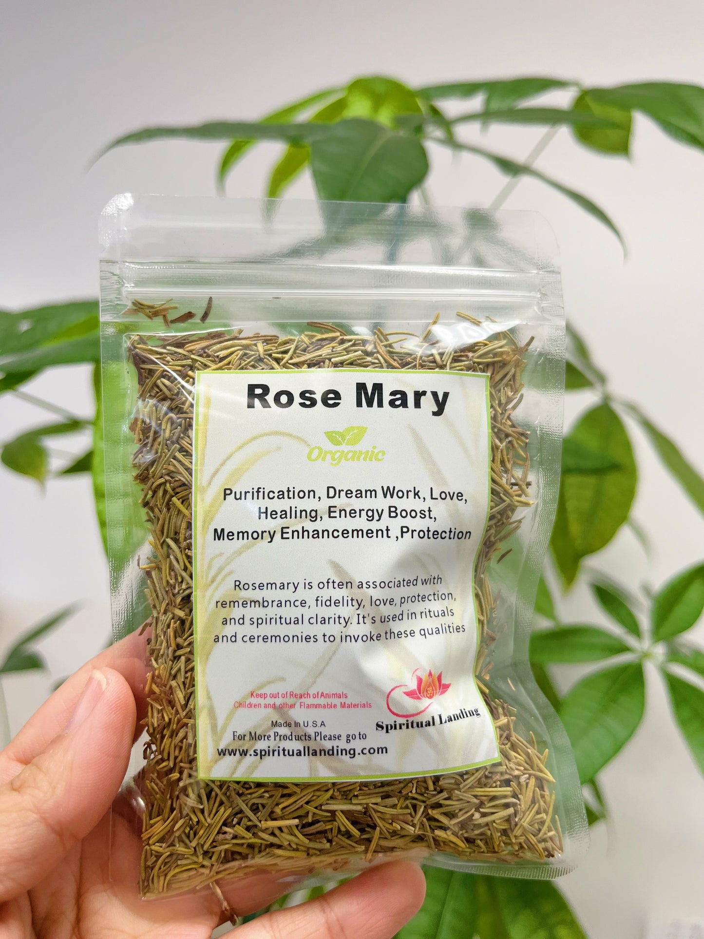 Rosemary