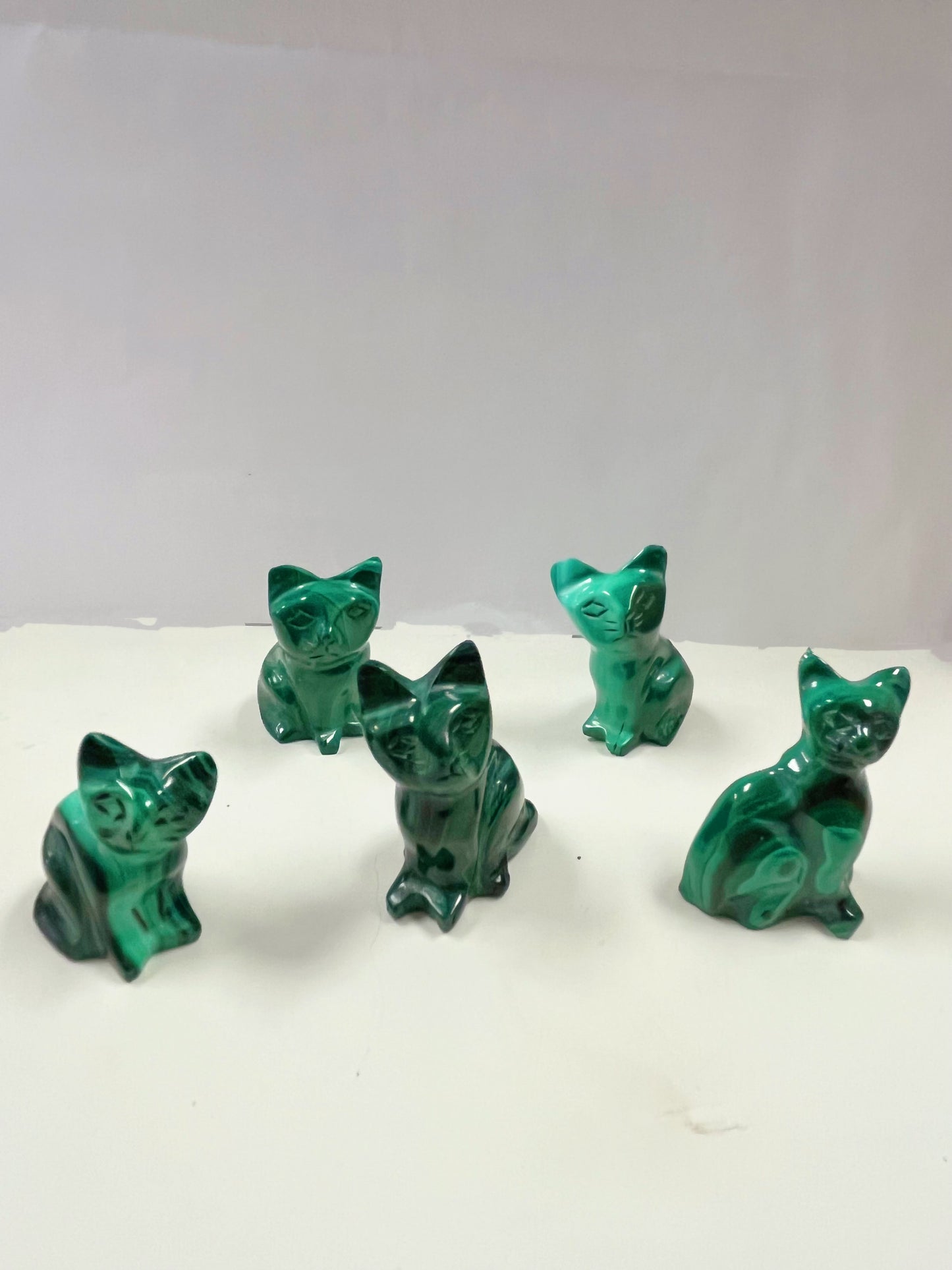Malachite Cat