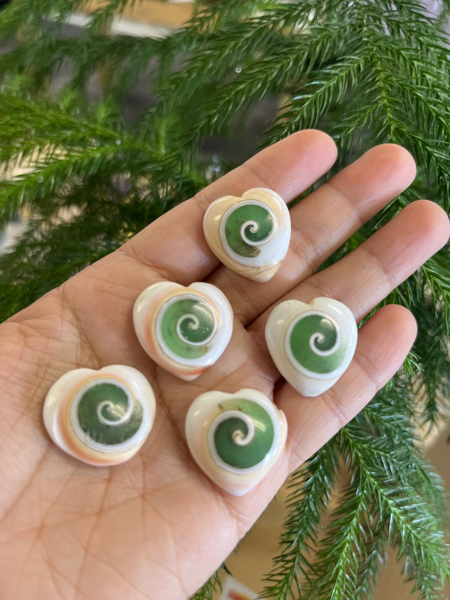 Black Druzy Sphalerite Flare