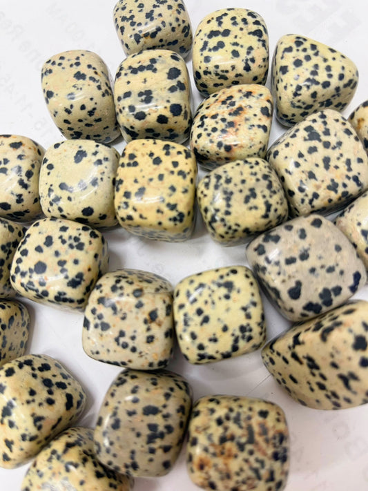 Dalmatian Jasper Tumbled