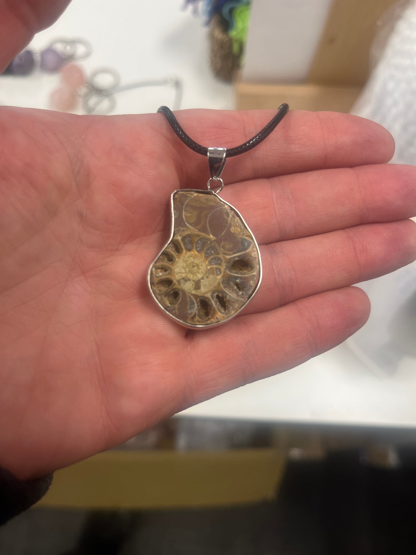 Ammonite Necklace