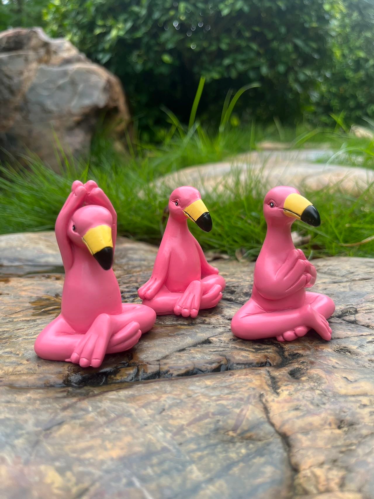 Meditation Flamingos
