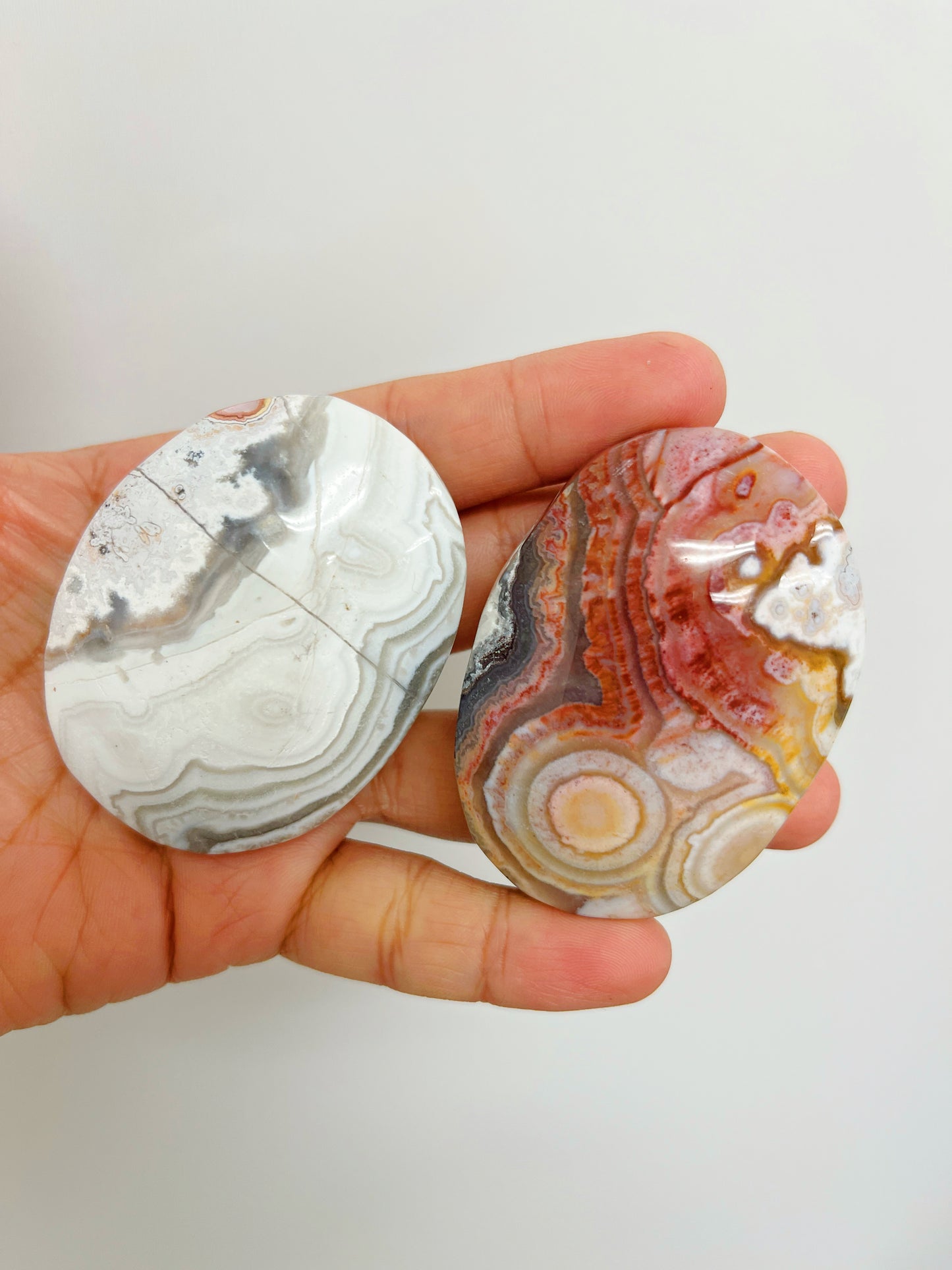 Mexican Agate Palm Stone