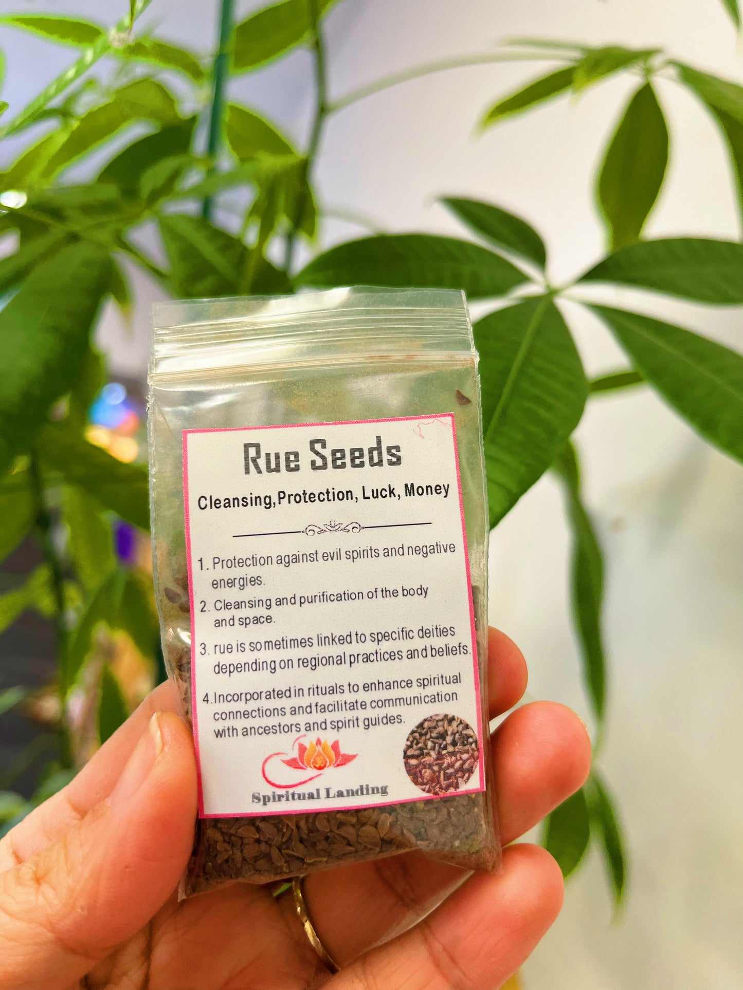 Wild Rue Seeds Incense
