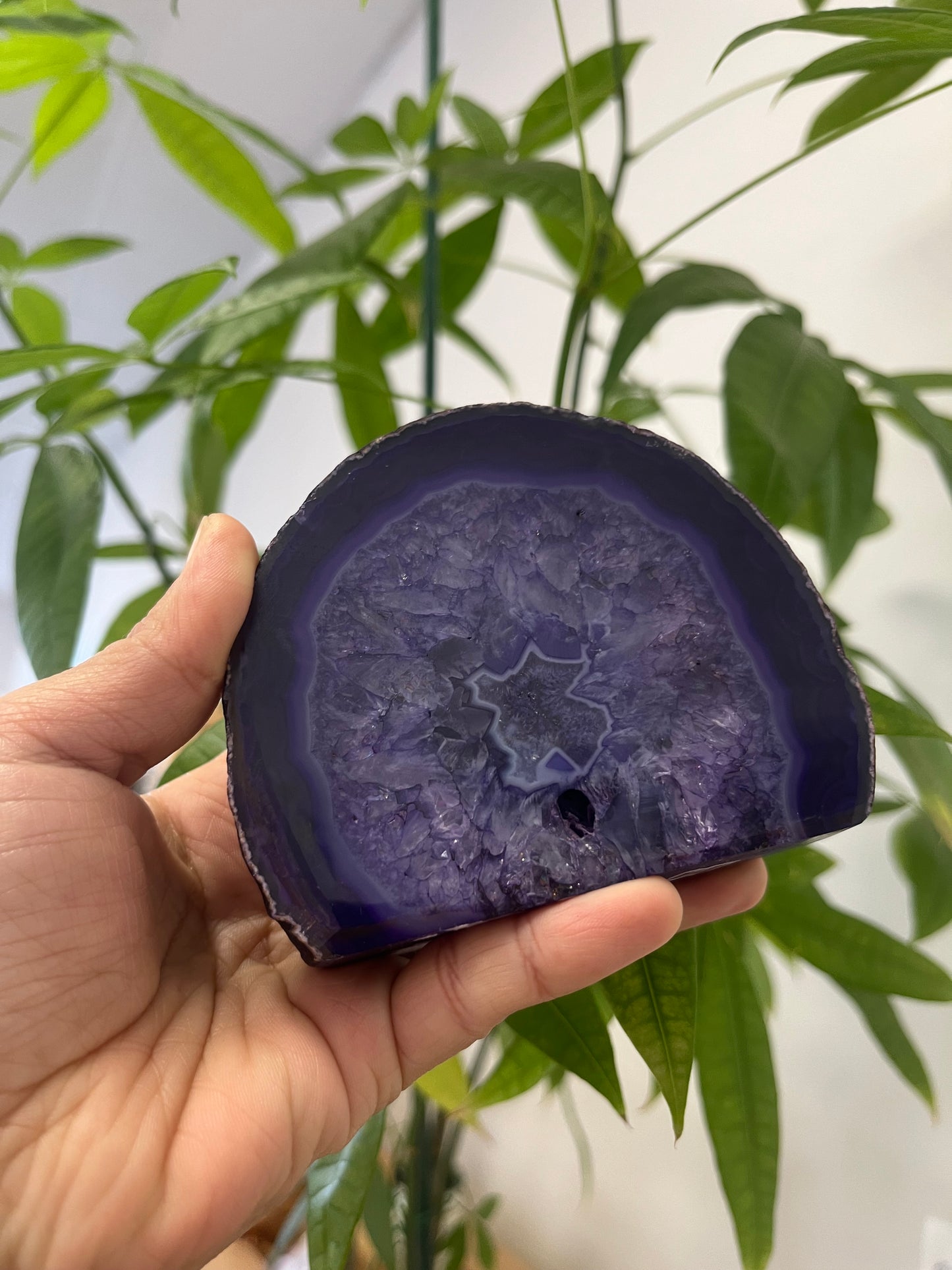 Agate Purple