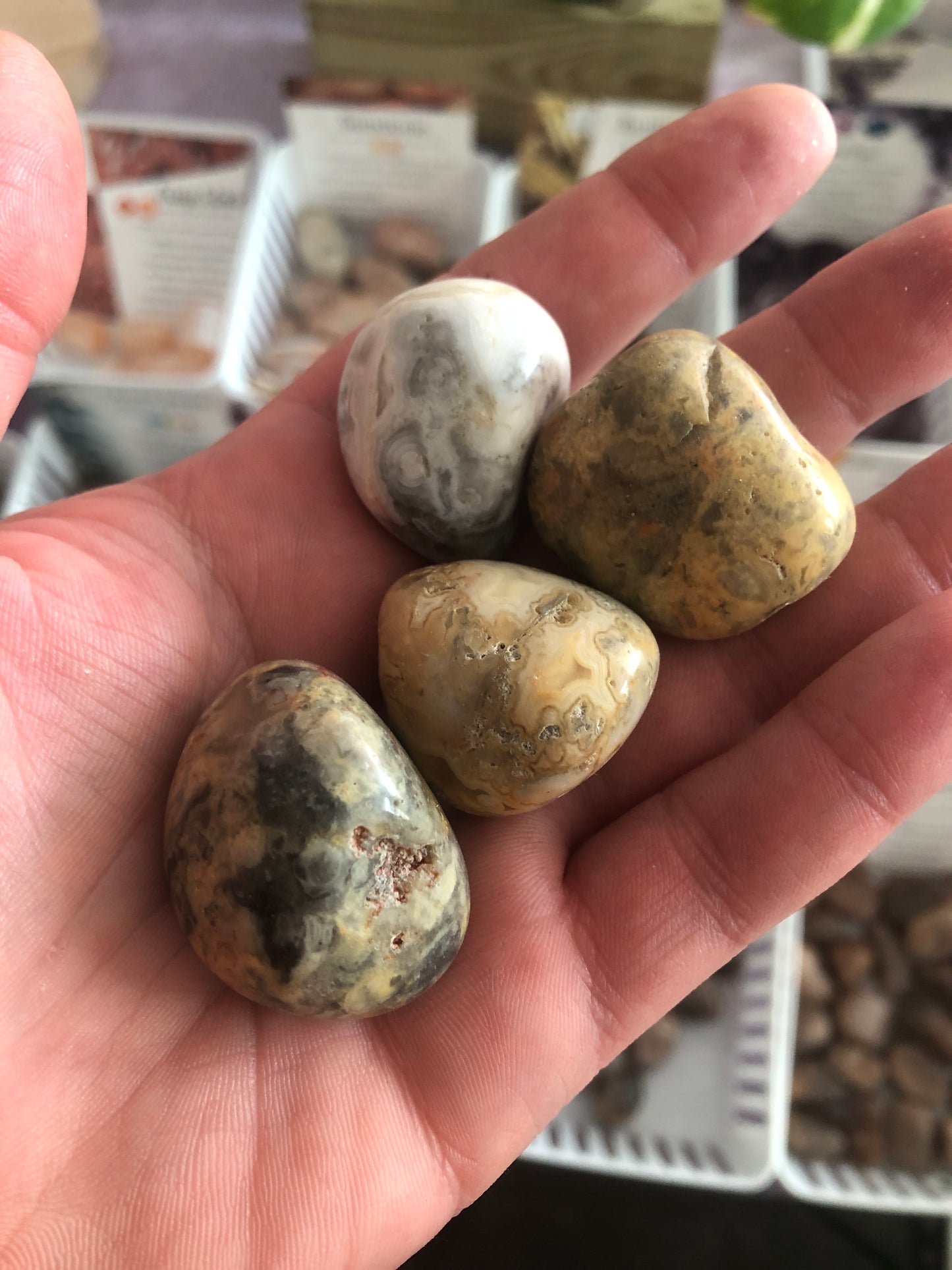 Crazy Lace Agate Tumbled