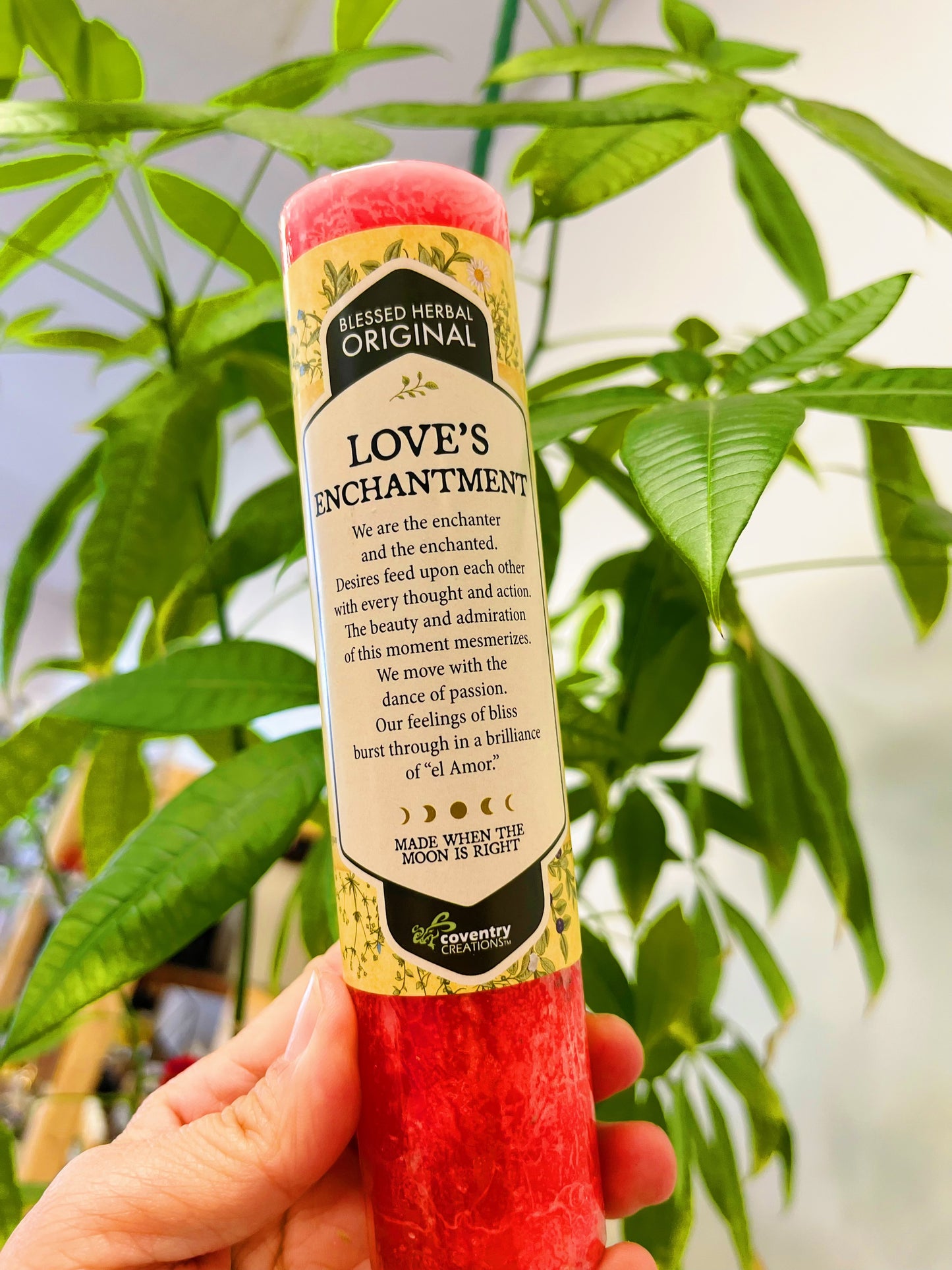 Intention candle Blessed Herbal Pillar Candles