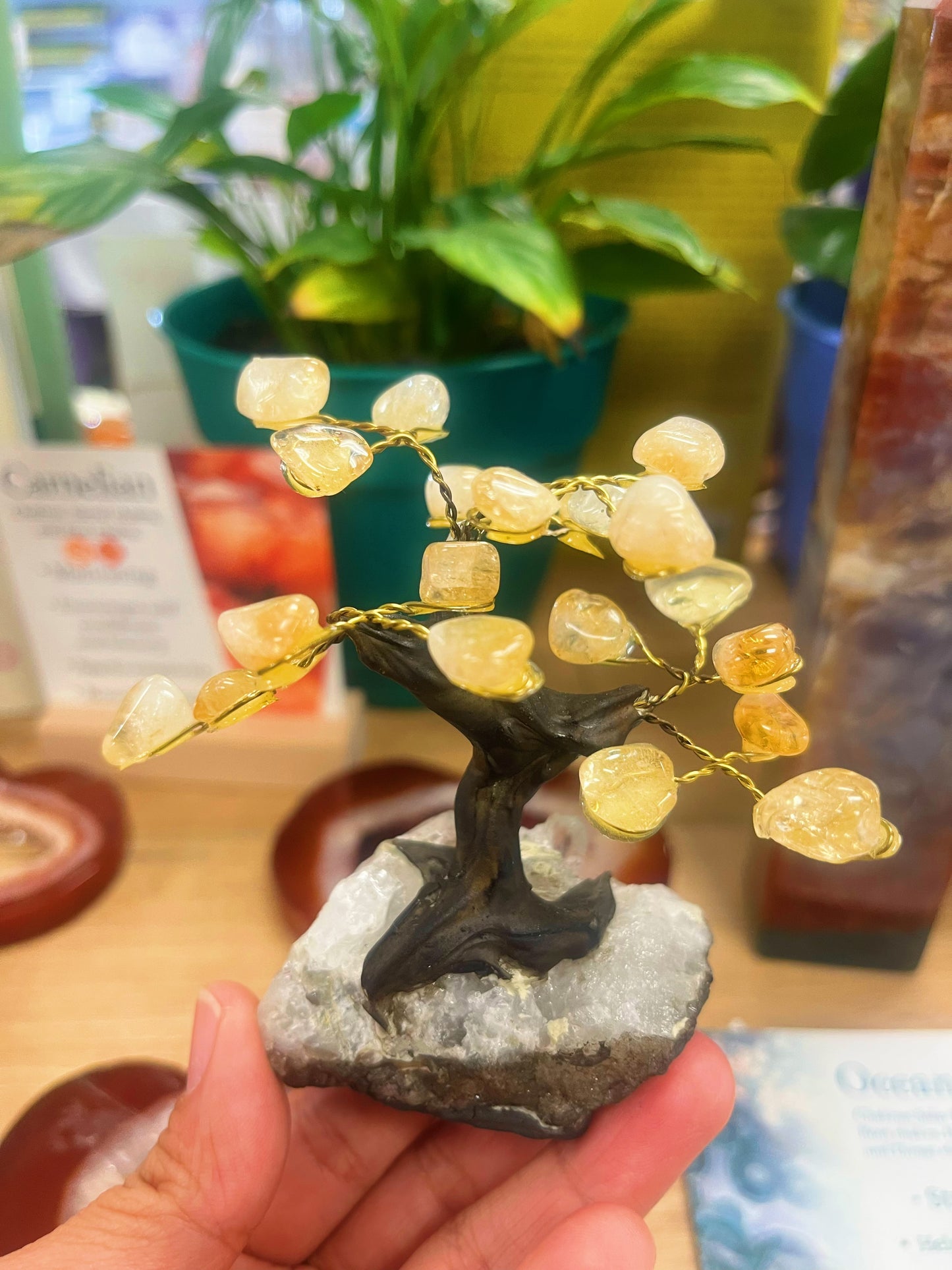 Brazil Gemstone Trees