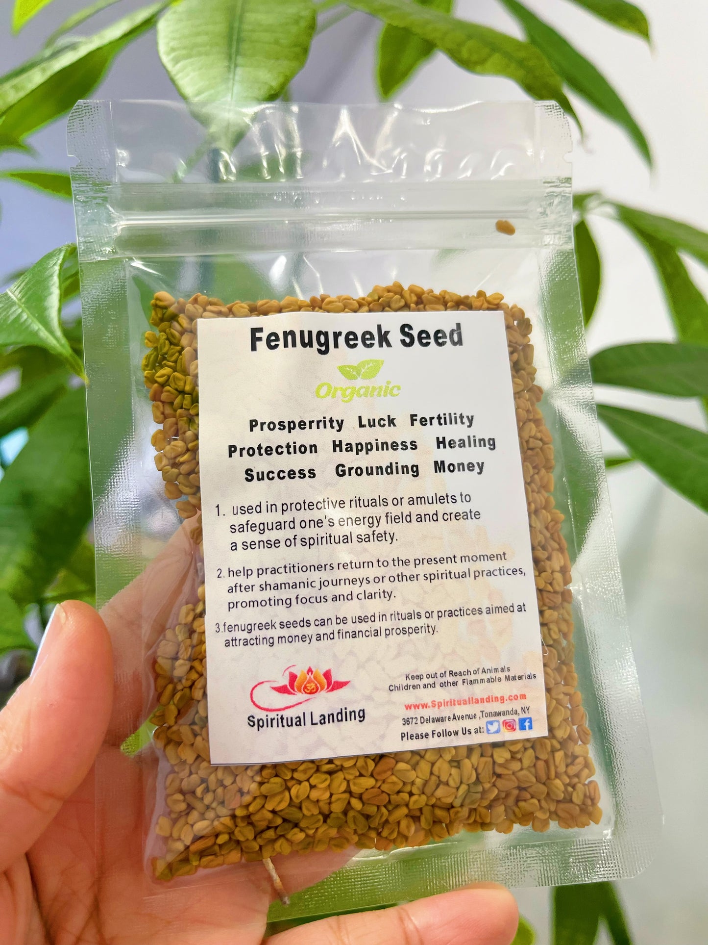 Fenugreek Seed