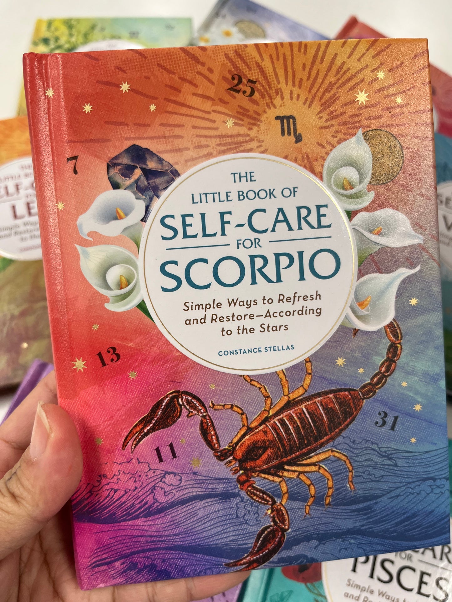 The Little Book of Zodiac Sign Self-Care