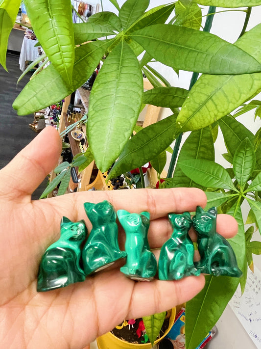 Malachite Cat
