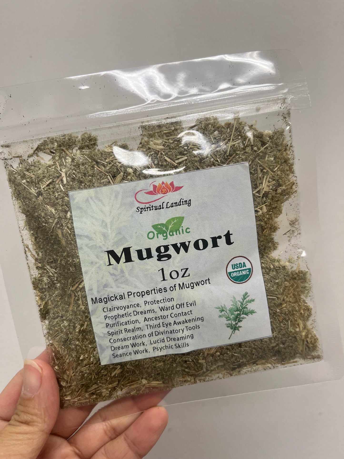 Mugwort Organic 1oz