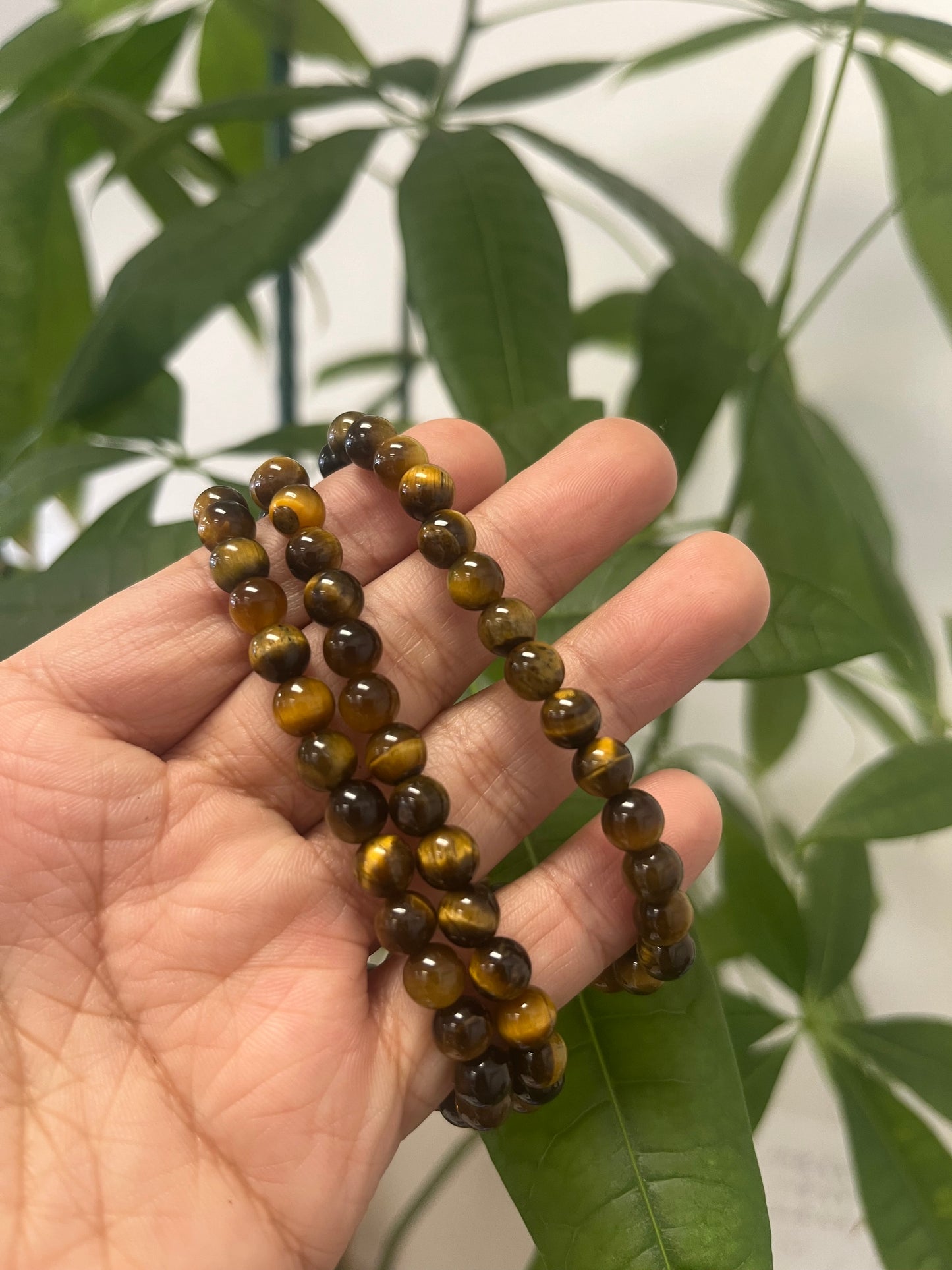 Tiger eye Bracelet