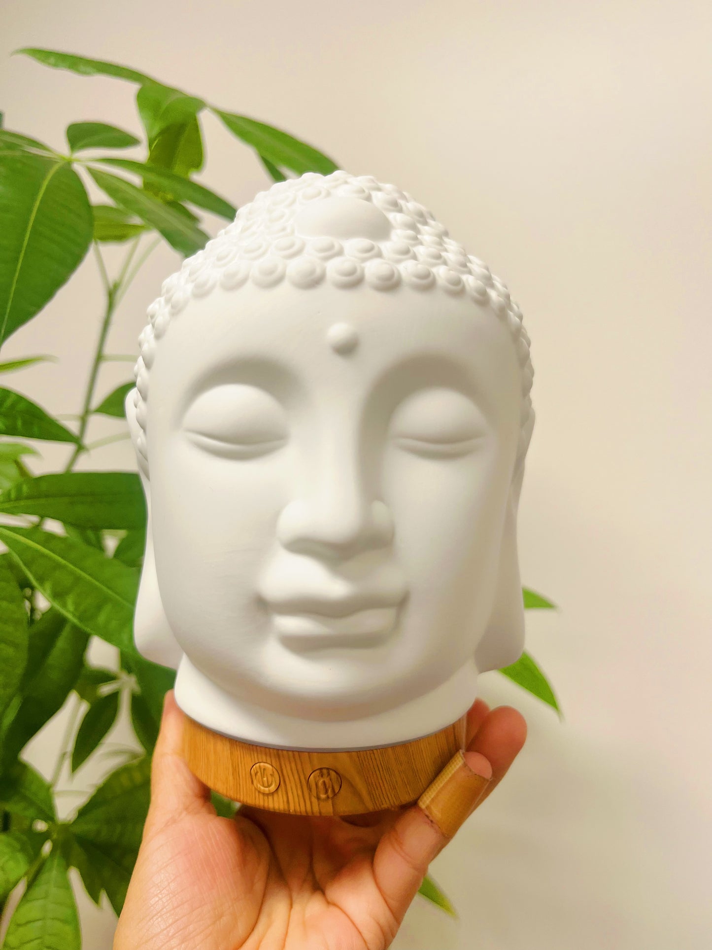 Essential Oil Electric Diffuser