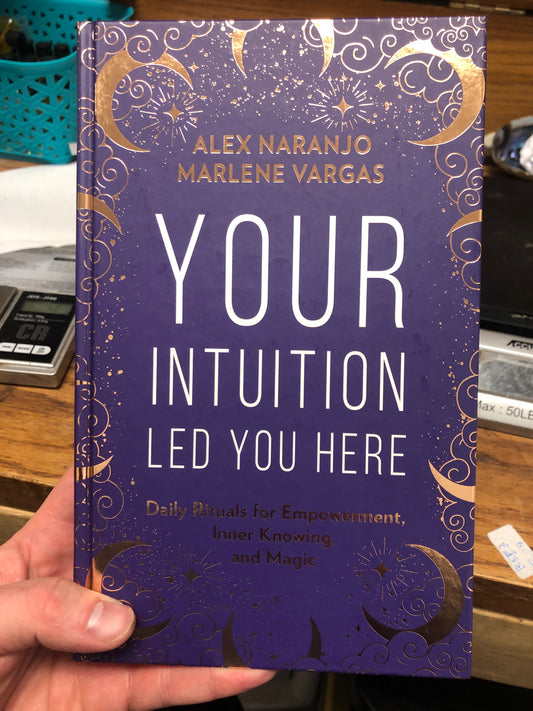 Your Intuition Led You Here
