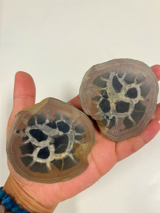 Septarian Nodules Large