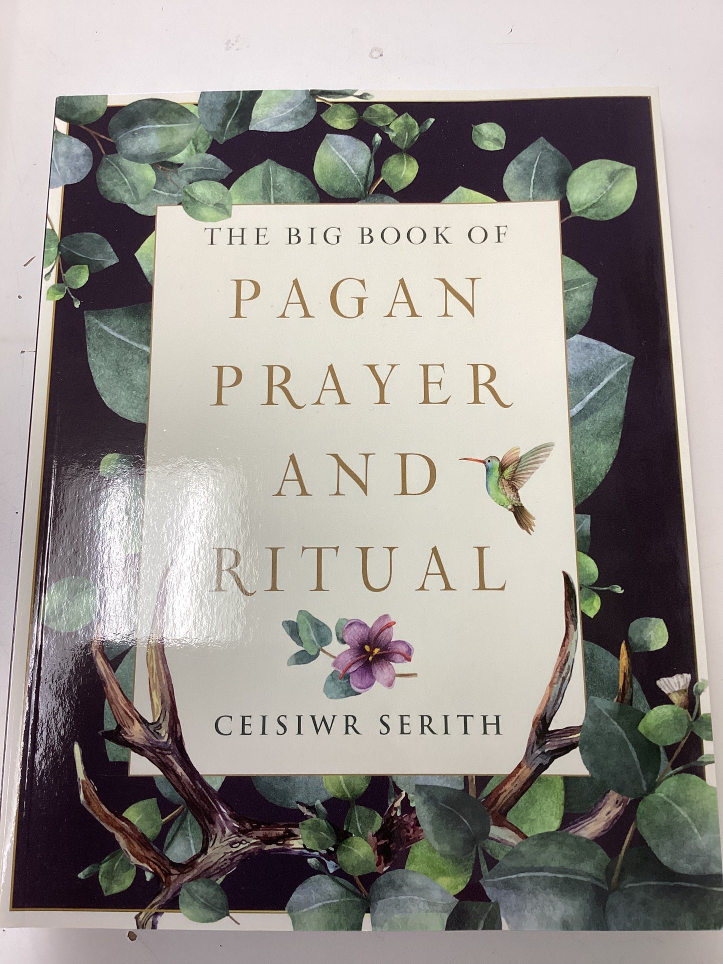 The Big Book of Pagan Prayer and Ritual
