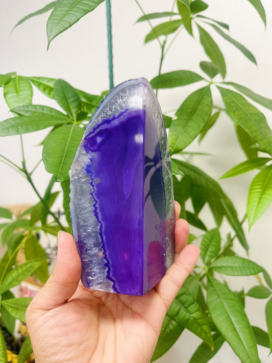 Agate Purple