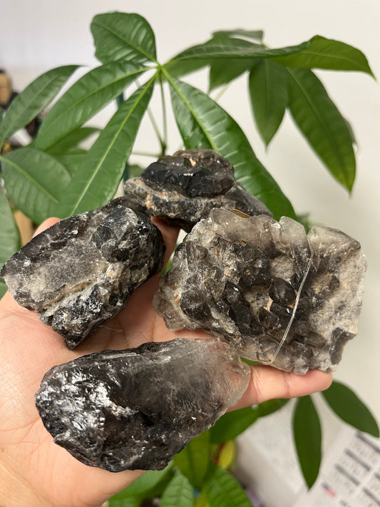 Elestial Smokey Quartz
