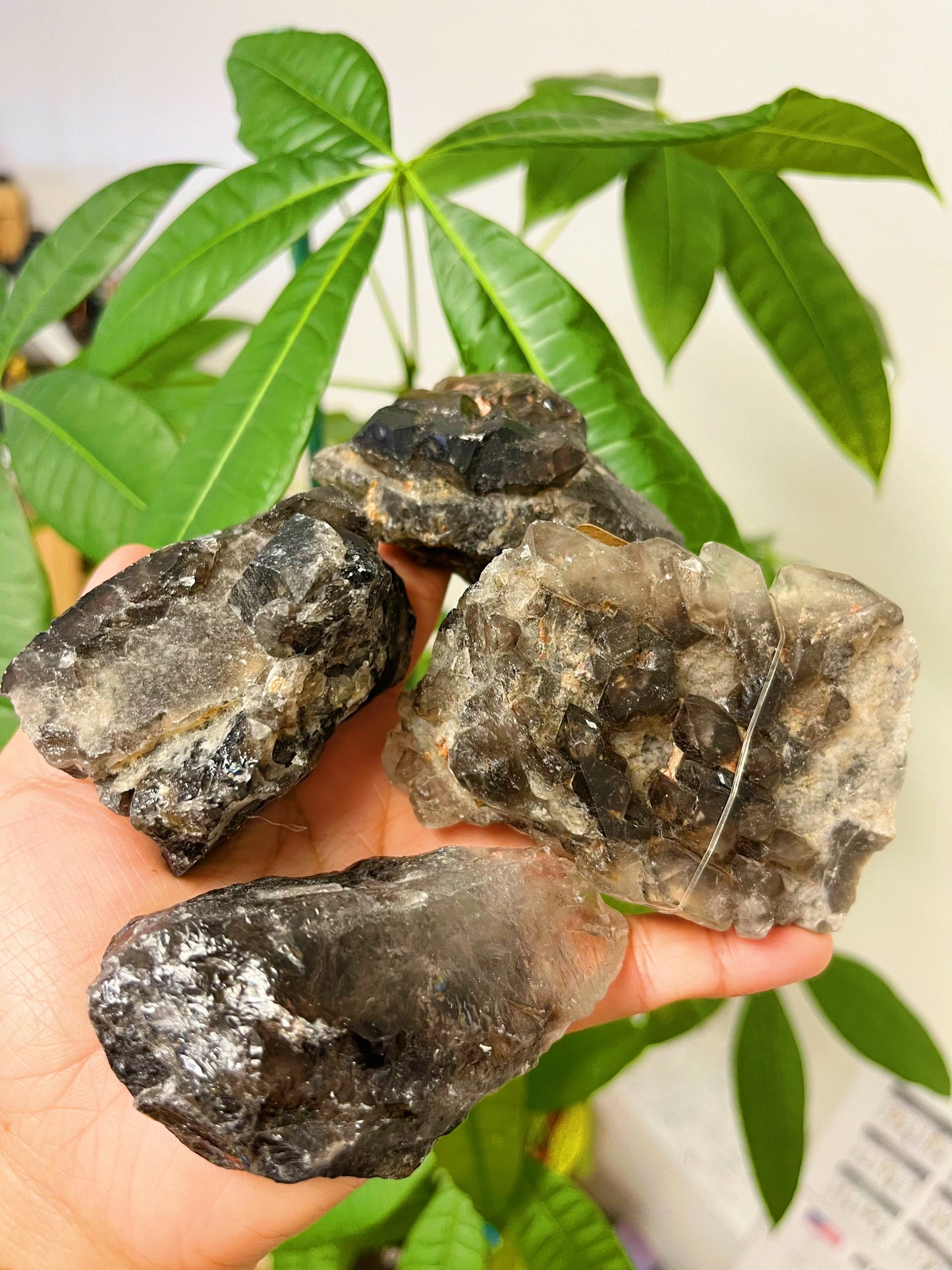 Elestial Smokey Quartz