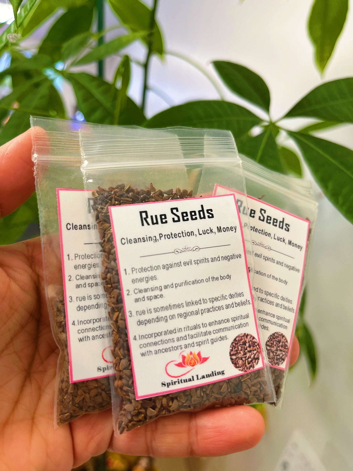 Wild Rue Seeds Incense