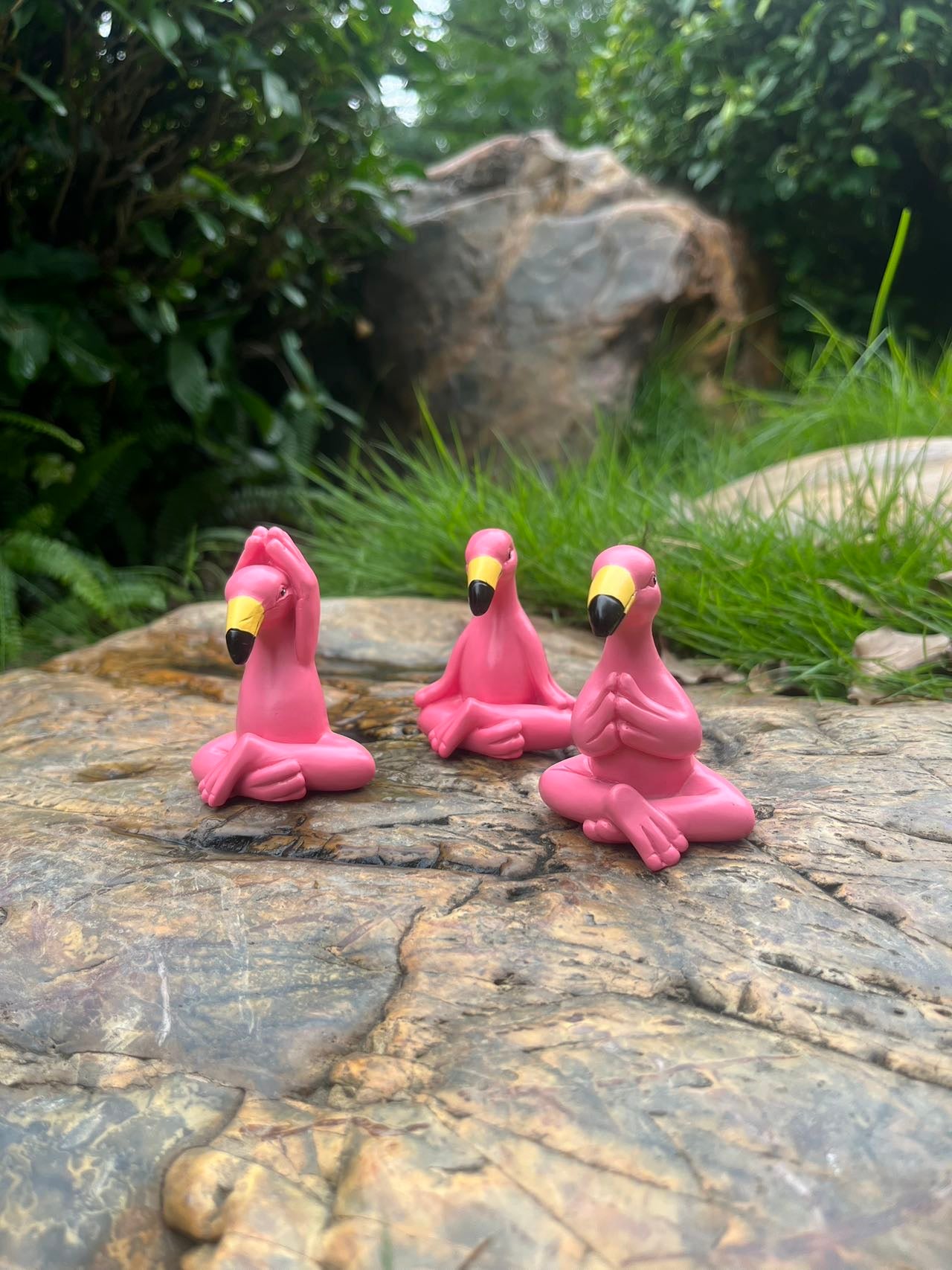 Meditation Flamingos