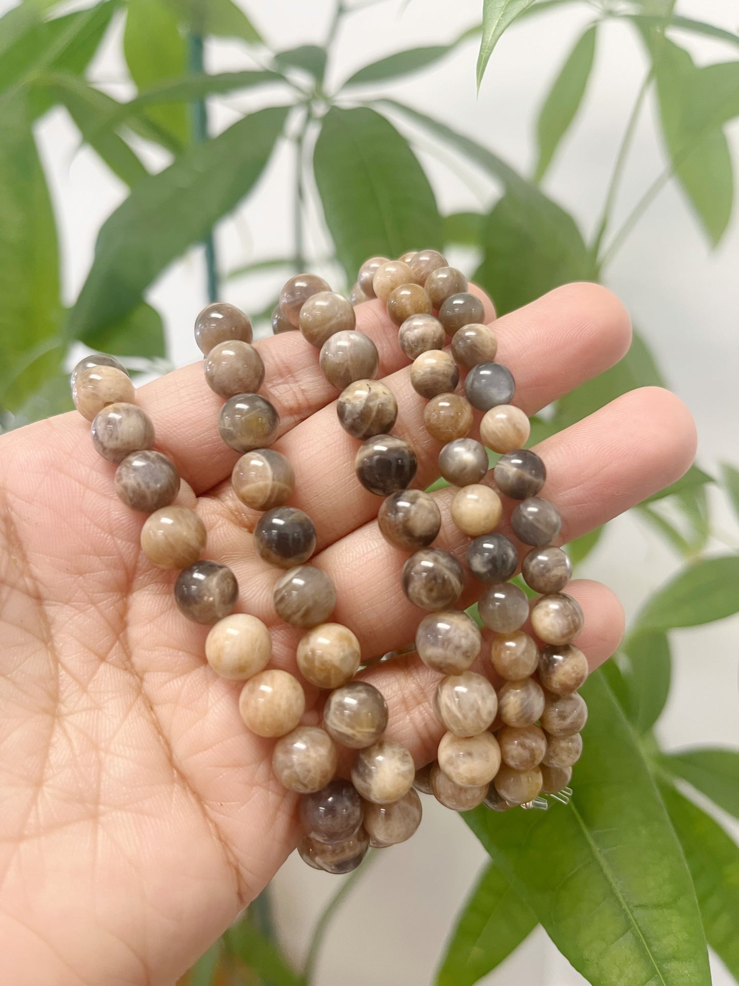 Black Moonstone Bracelet