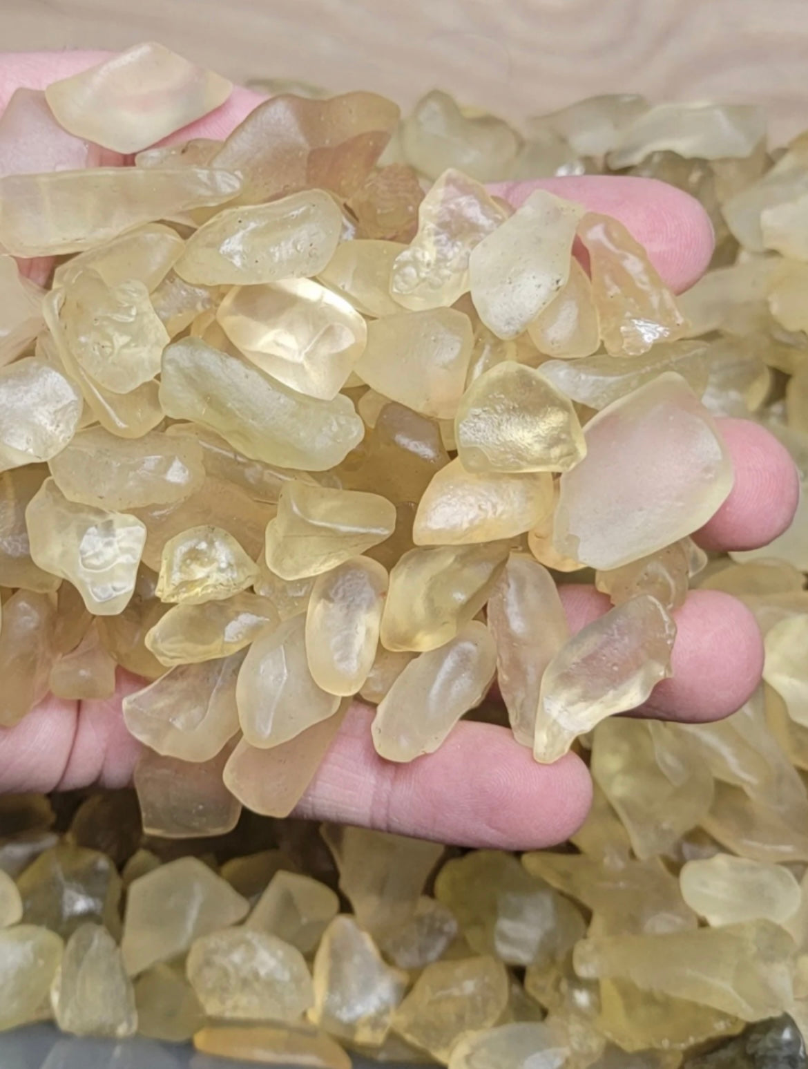 Libyan Desert Glass