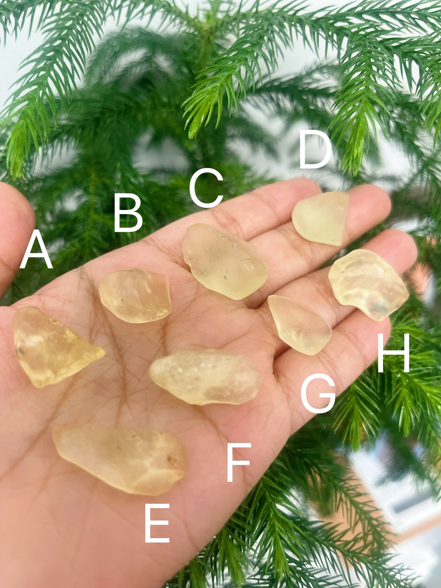 Libyan Desert Glass