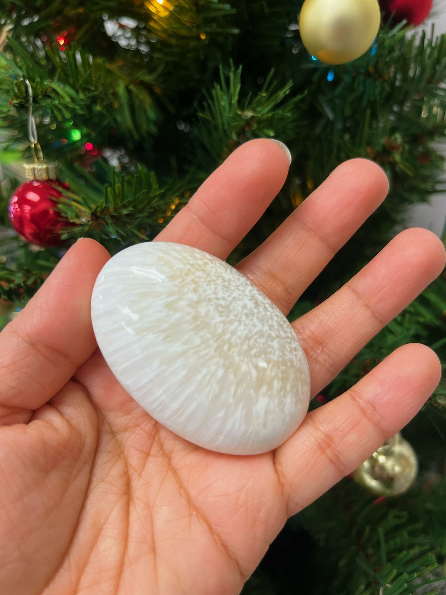 Scolicite Palmstones
