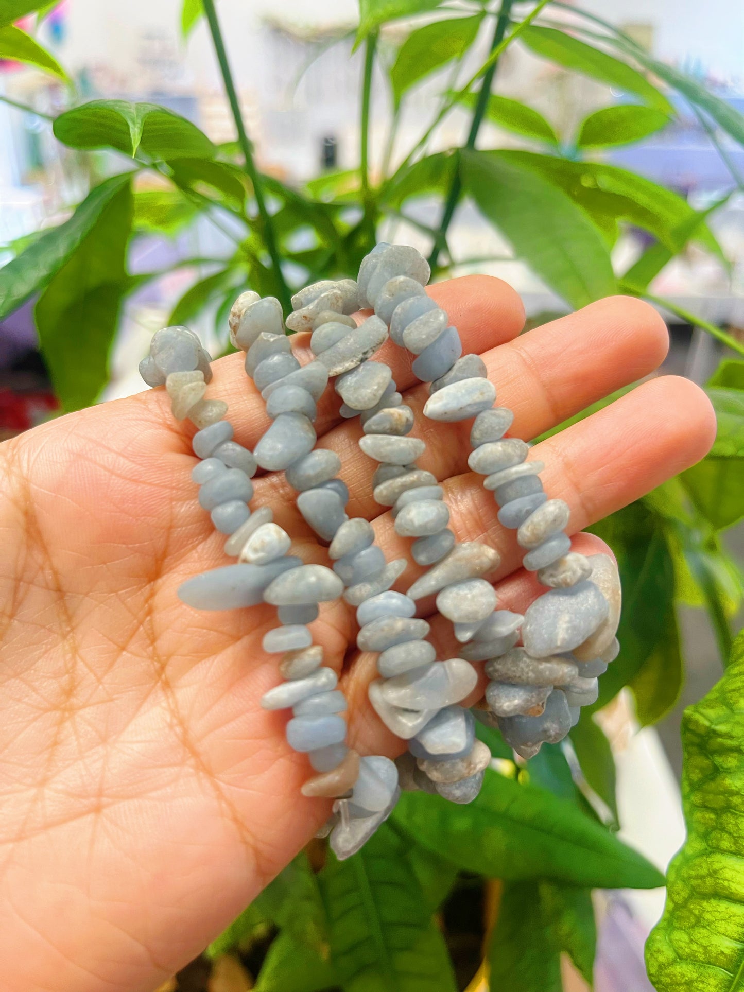 Angelite Bracelets