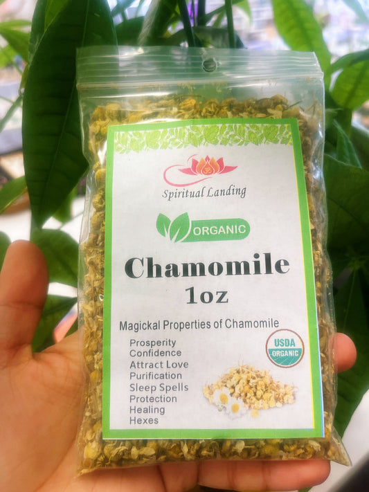 Chamomile Organic