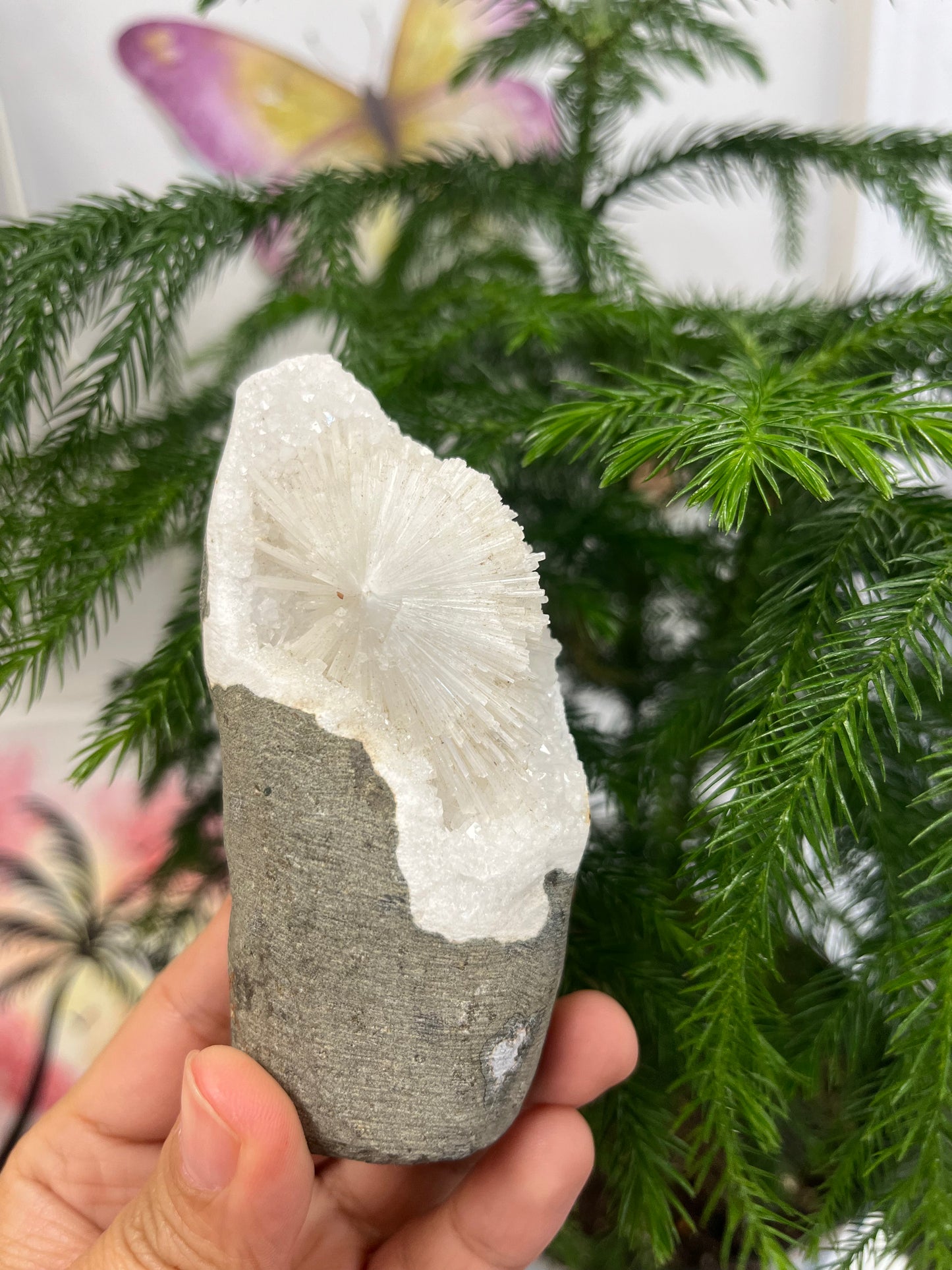 Scolecite Specimen