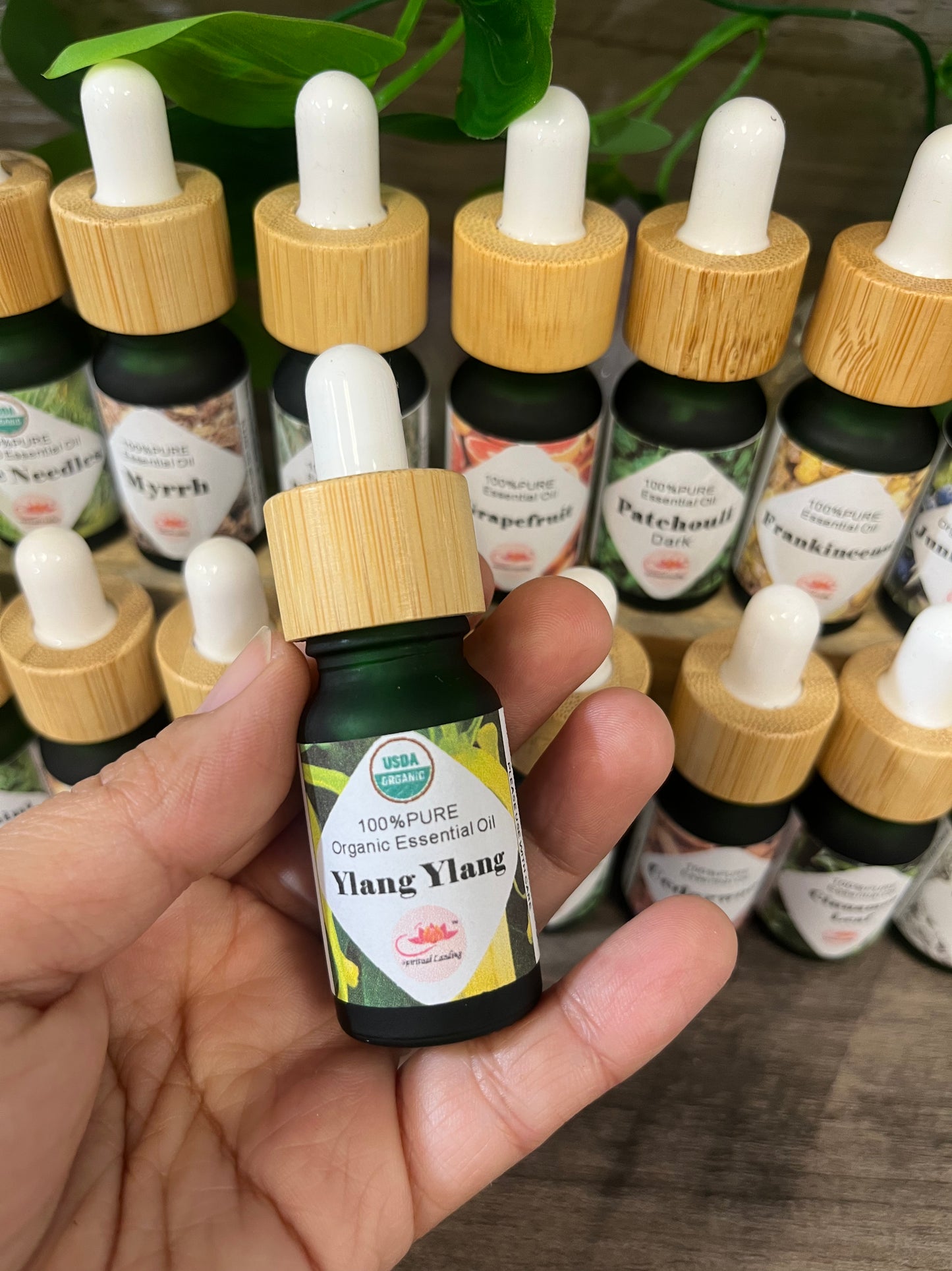 Essential Oil