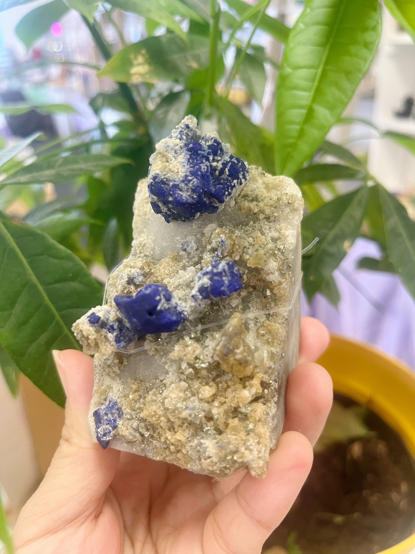 Lazurite Specimen