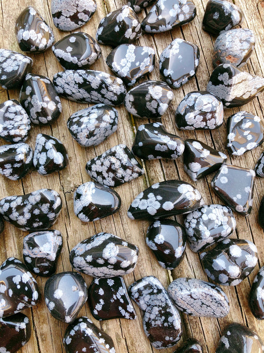 Snowflake Obsidian Tumbled