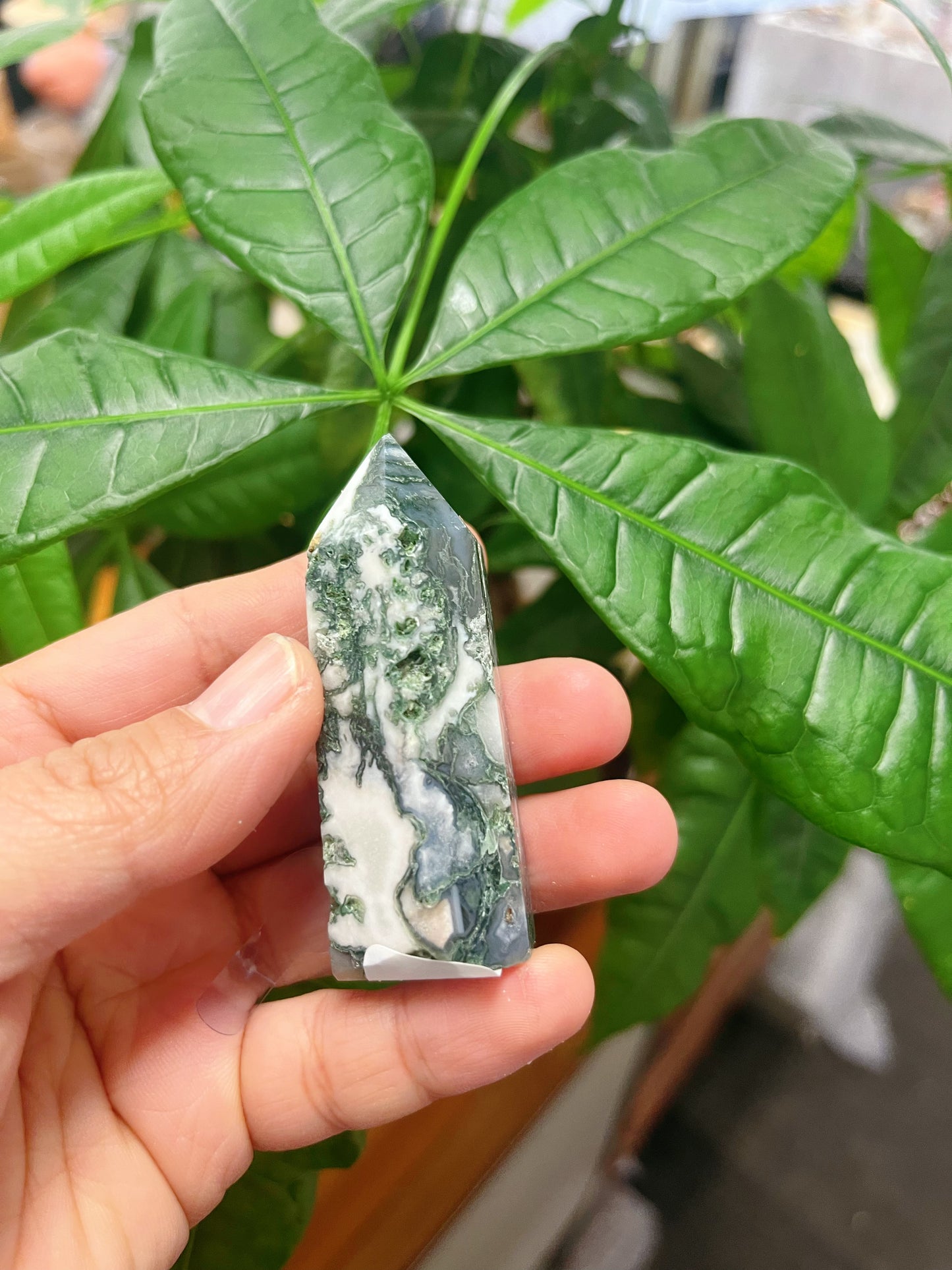 Moss Agate Towers
