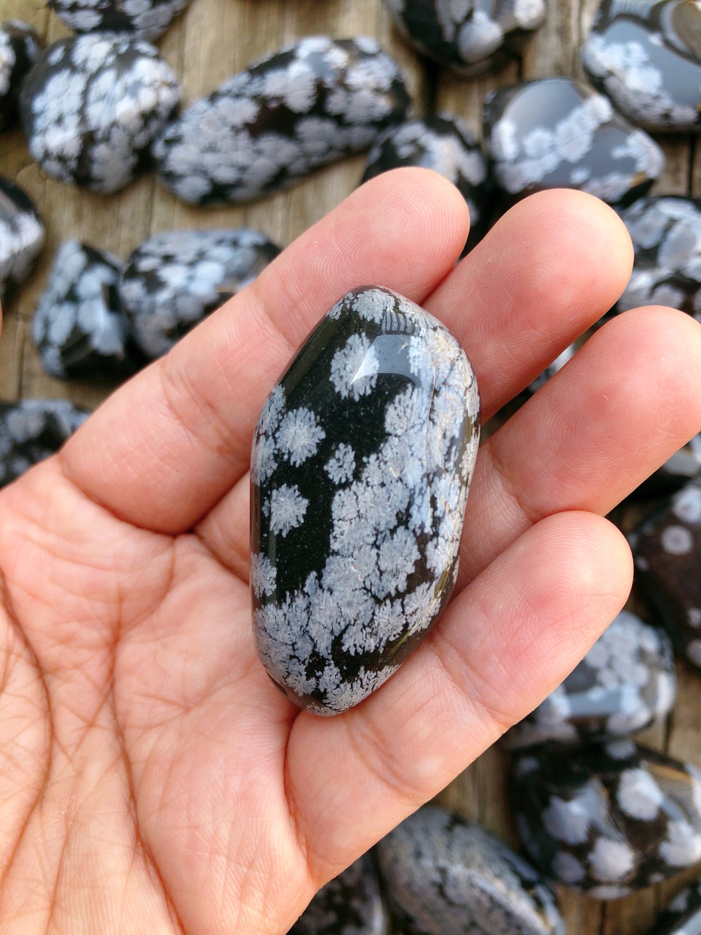 Snowflake Obsidian Tumbled