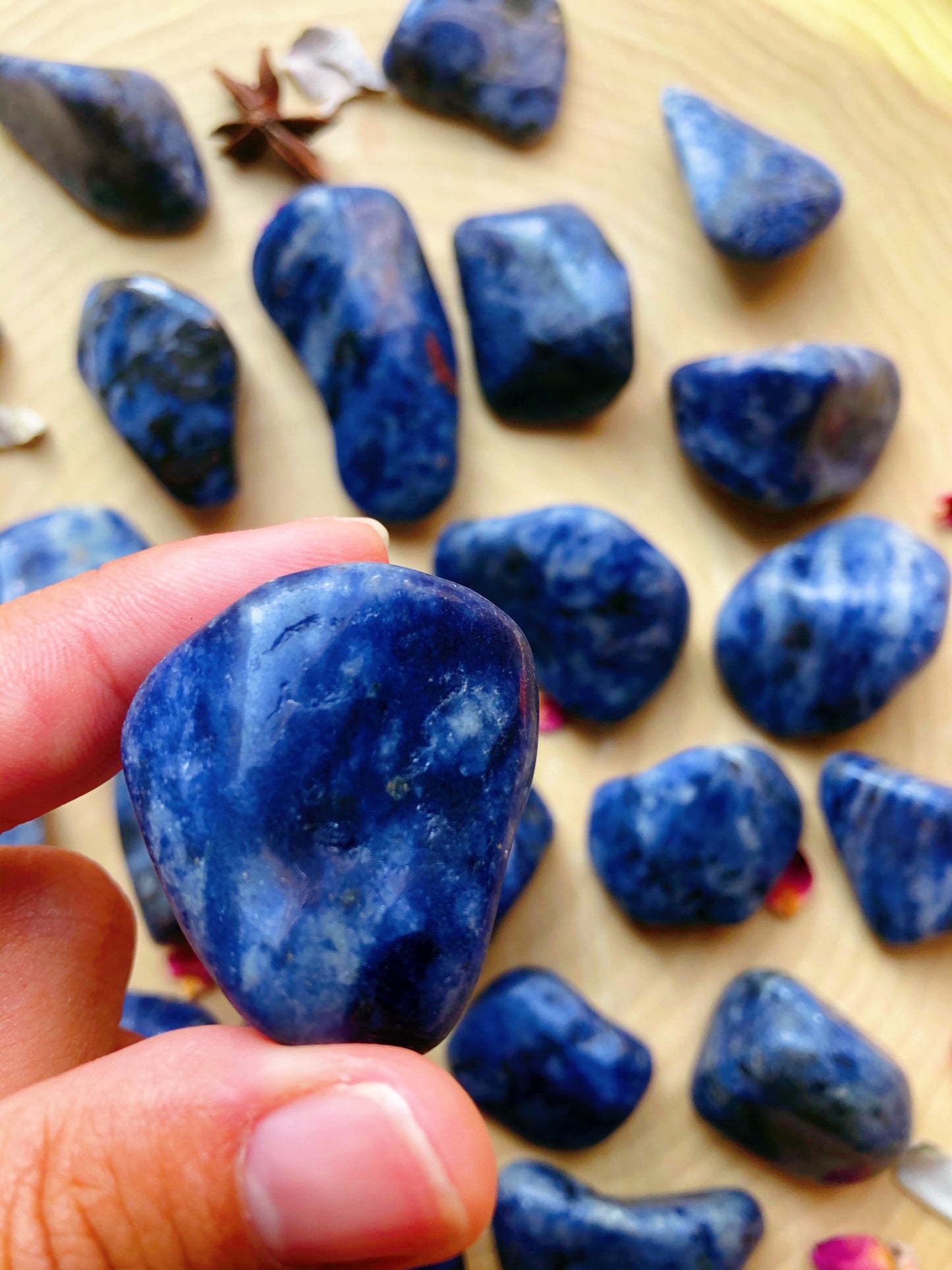 Sodalite Tumbled