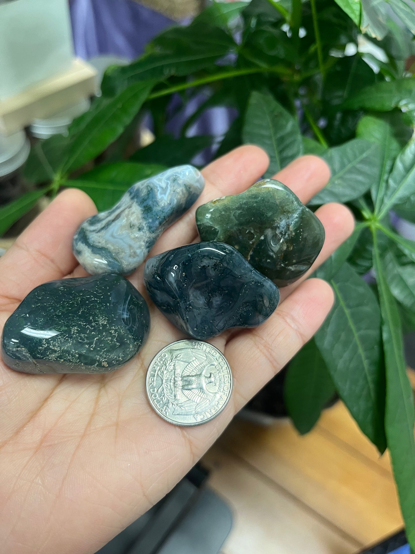 Moss Agate Tumbled