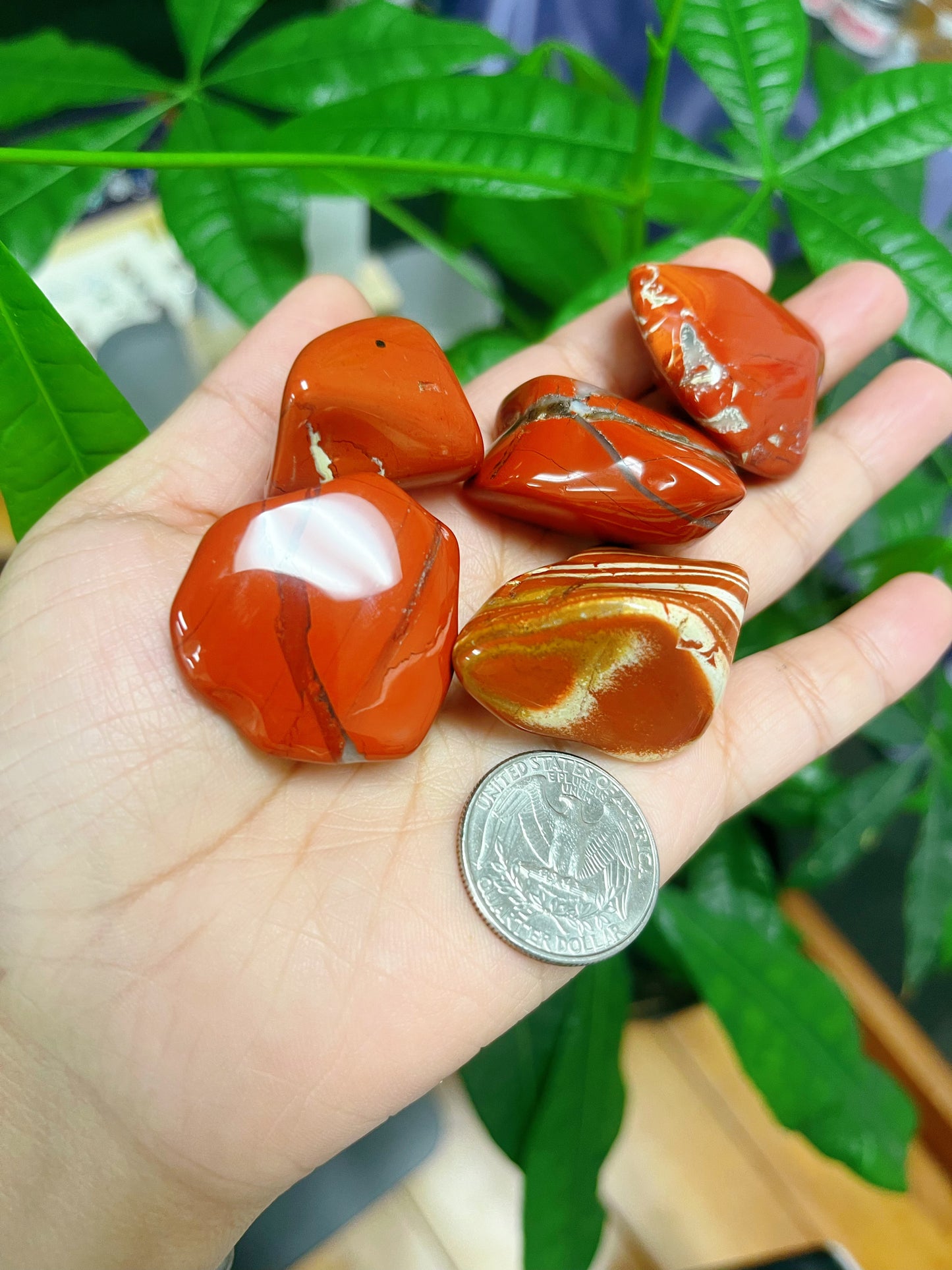 Red Jasper Tumbled