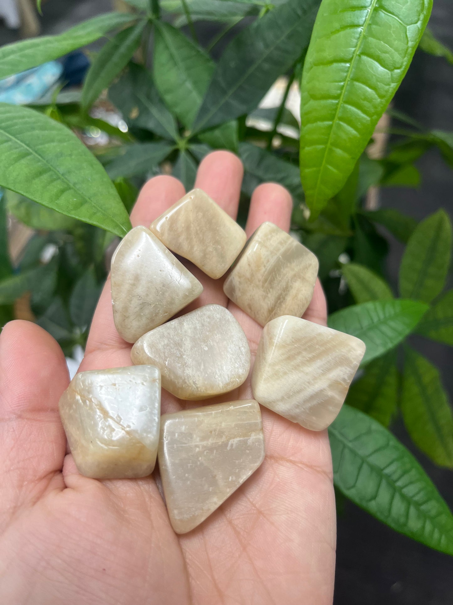 Moonstone Tumbled