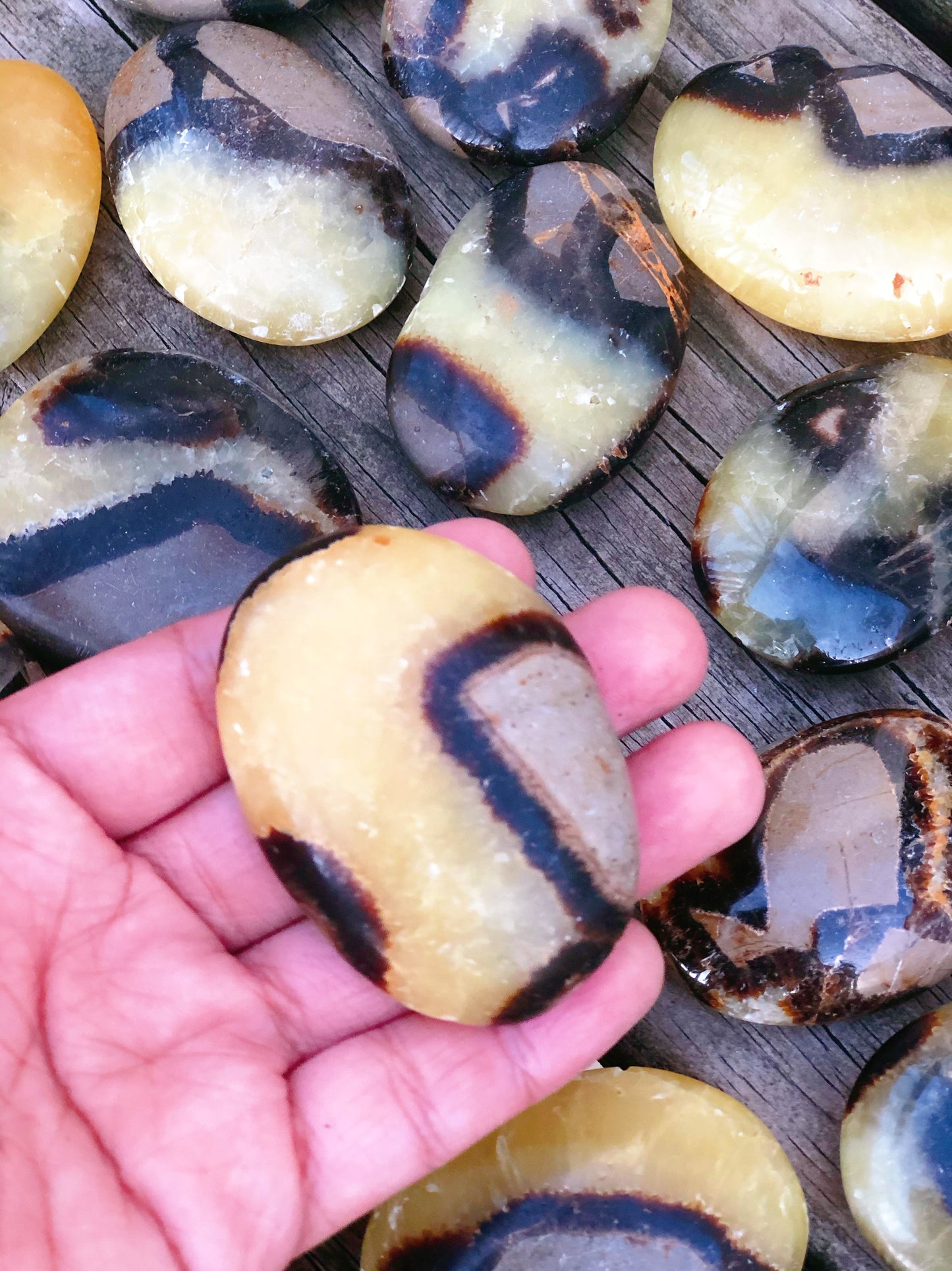 Septarian Plam stone