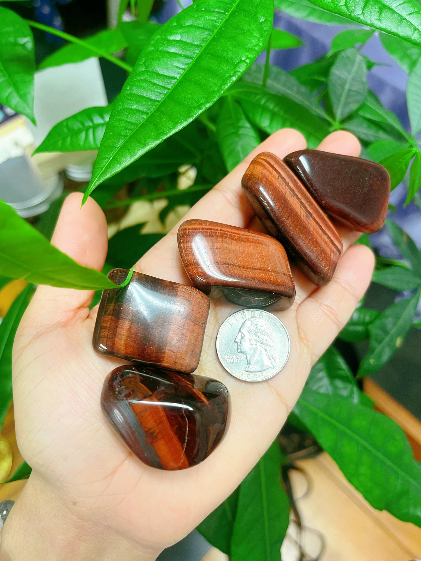 Red Tigers Eye Tumbled