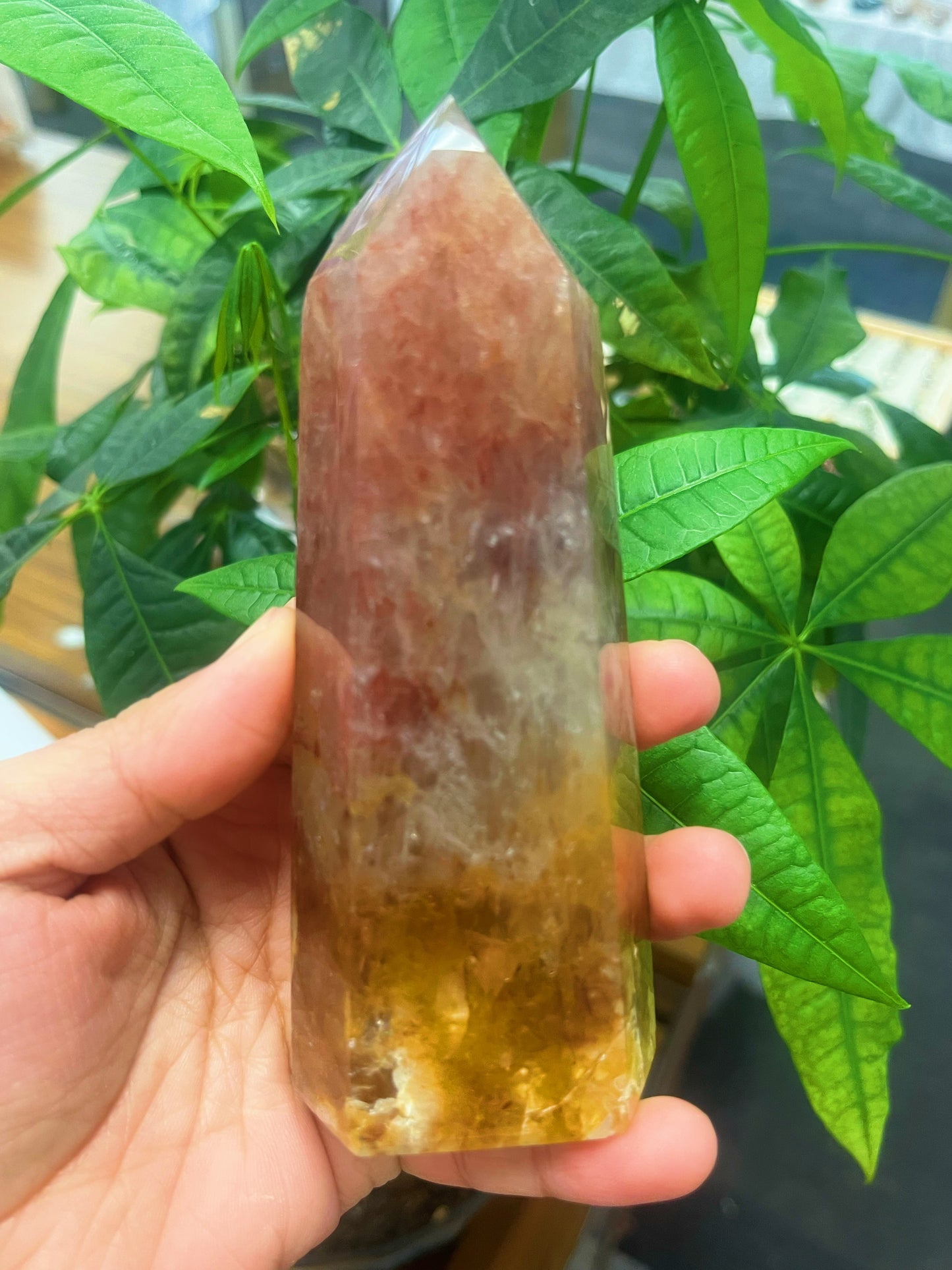 Brazilian Golden Healer Quartz