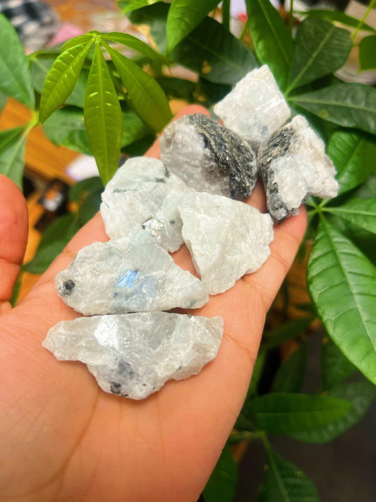 Rainbow Moonstone Rough