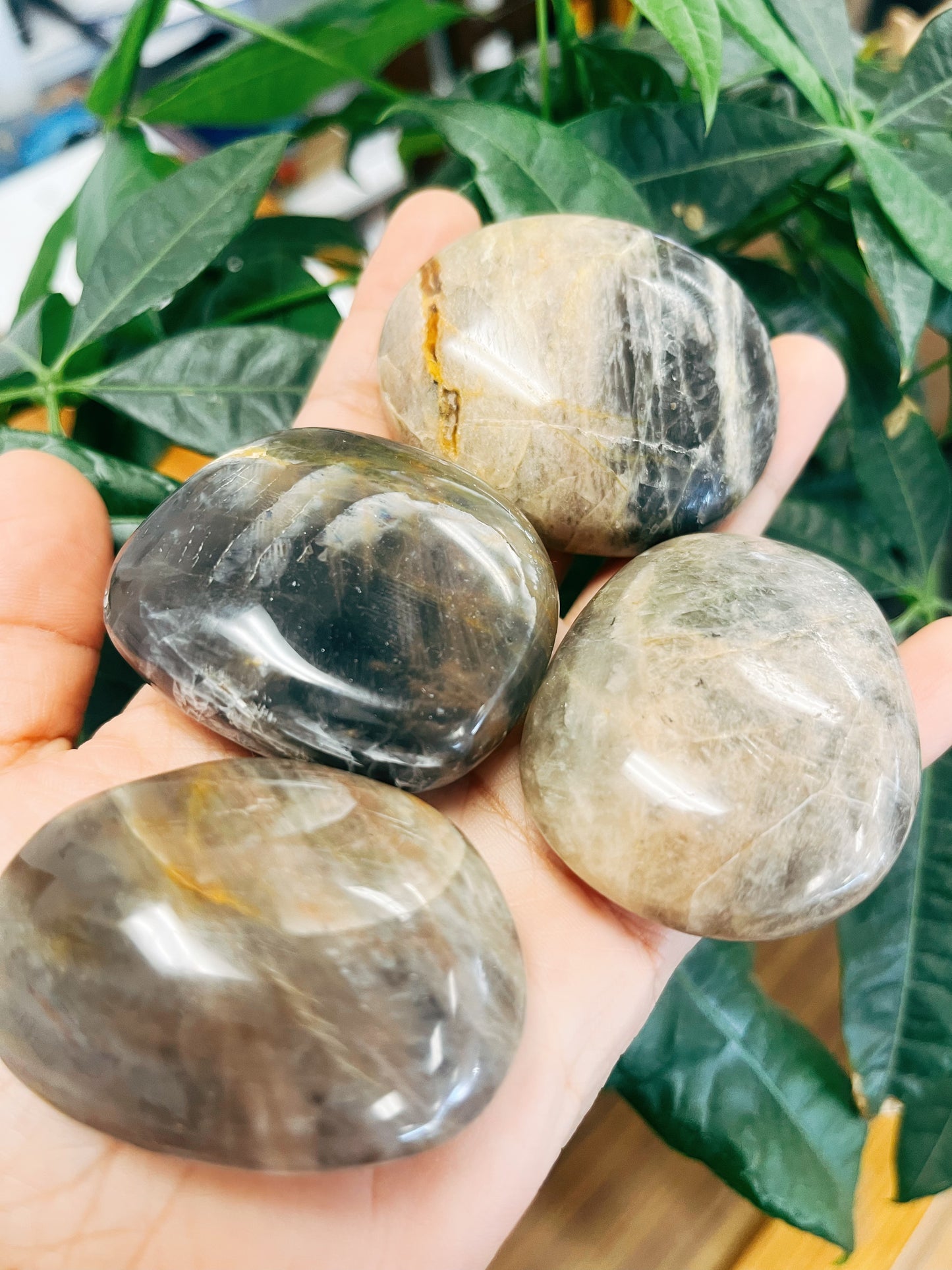 Black Moonstone Palm Stones